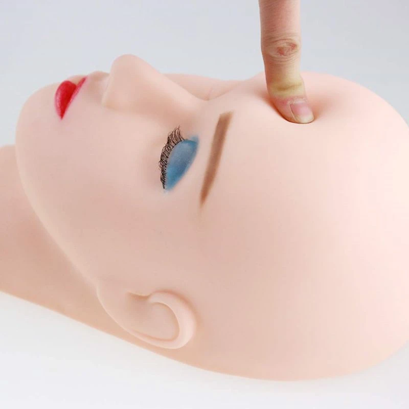 training head modle training head modle